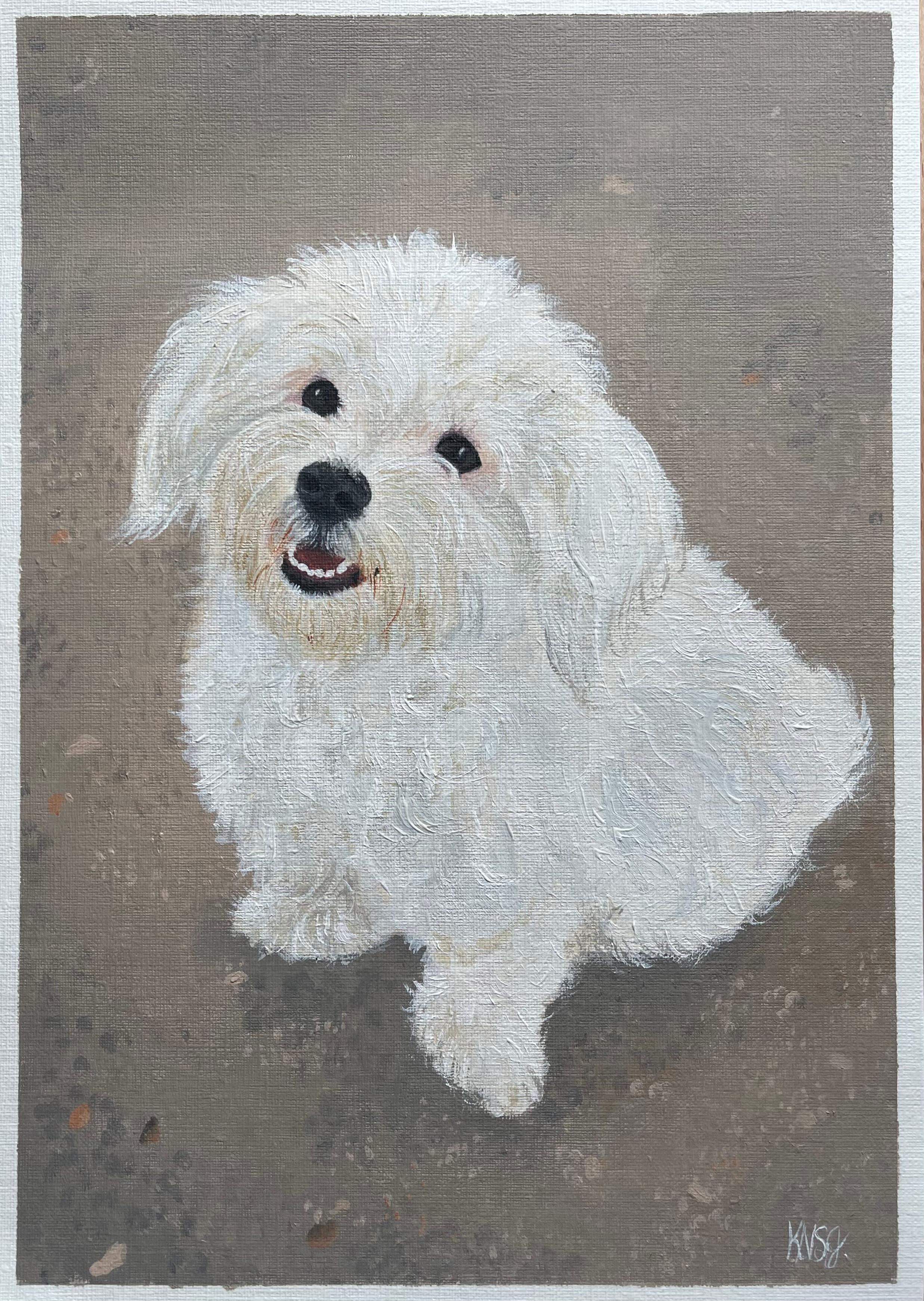 Fine art pet portrait